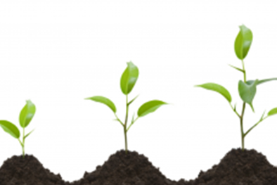 Giai đoạn thành lập công ty, phát triển của công ty